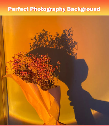 USB Powered Sunset Projector Lamp